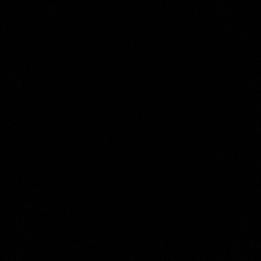 IGNORE
